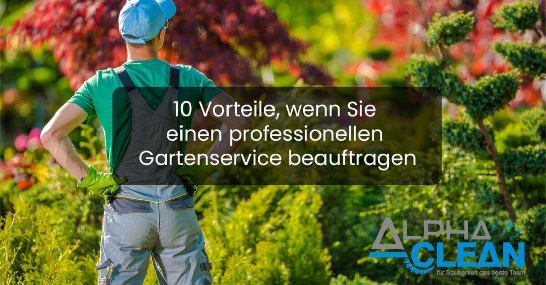 10 Vorteile, wenn Sie einen professionellen Gartenservice beauftragen