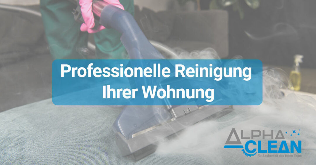 Professionelle Reinigung Ihrer Wohnung