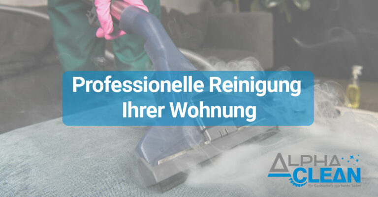 Read more about the article Professionelle Reinigung Ihrer Wohnung