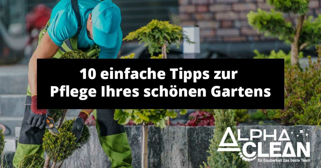 10 einfache Tipps zur Pflege Ihres schönen Gartens