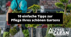 Read more about the article 10 einfache Tipps zur Pflege Ihres schönen Gartens