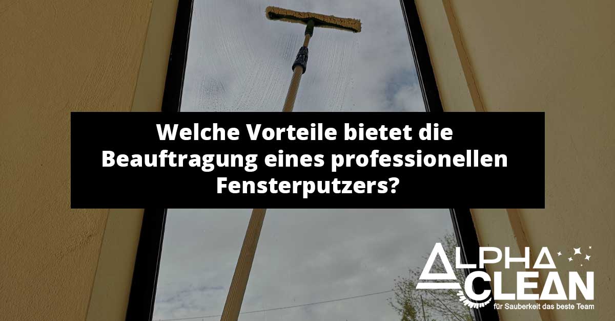 Read more about the article Welche Vorteile bietet die Beauftragung eines professionellen Fensterputzers?