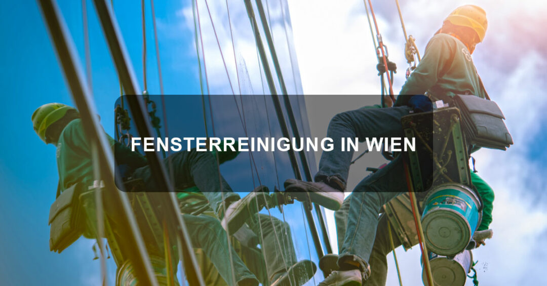 Professionelle Fensterreinigung in Wien