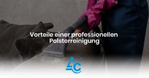 Read more about the article Vorteile einer professionellen Polsterreinigung