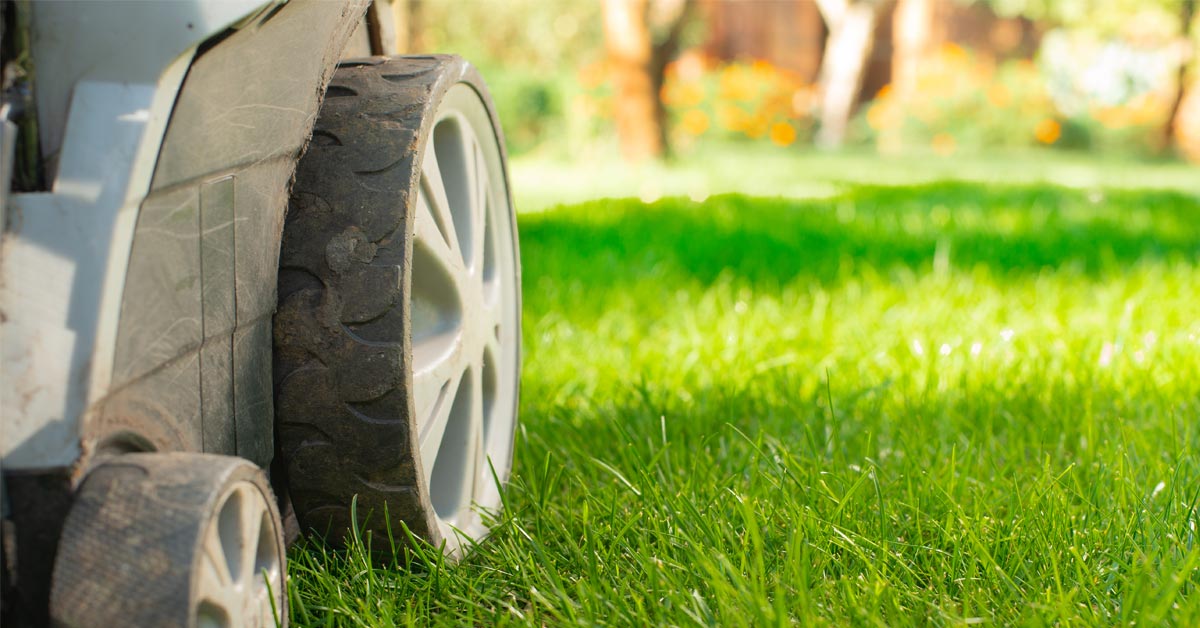 You are currently viewing Rasenpflege – Expertentipps für einen grünen und gesunden Rasen im eigenen Garten