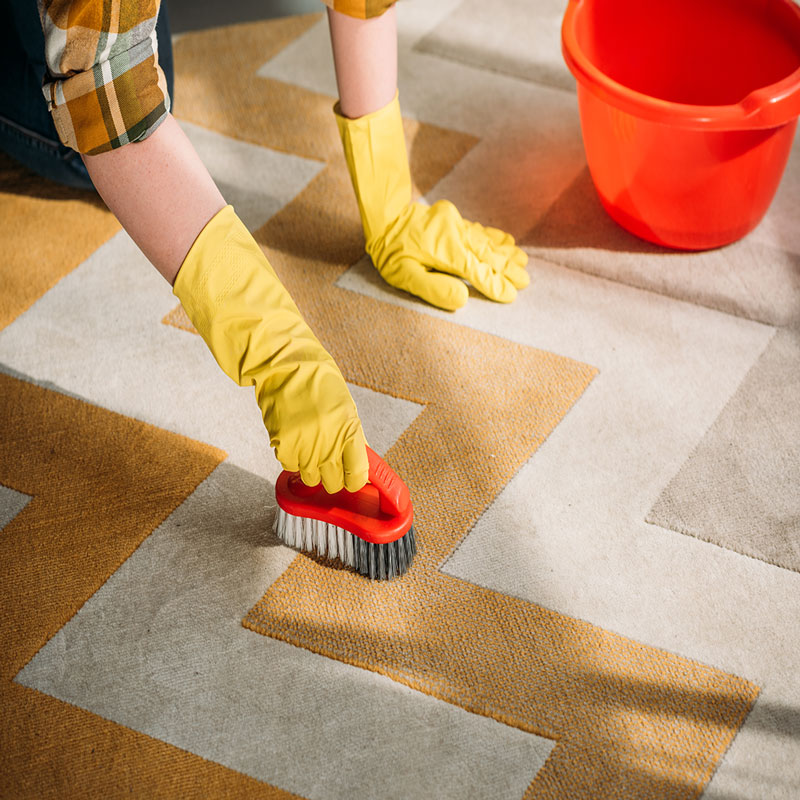 Teppichpflege: So reinigen Sie Ihre Teppiche richtig
